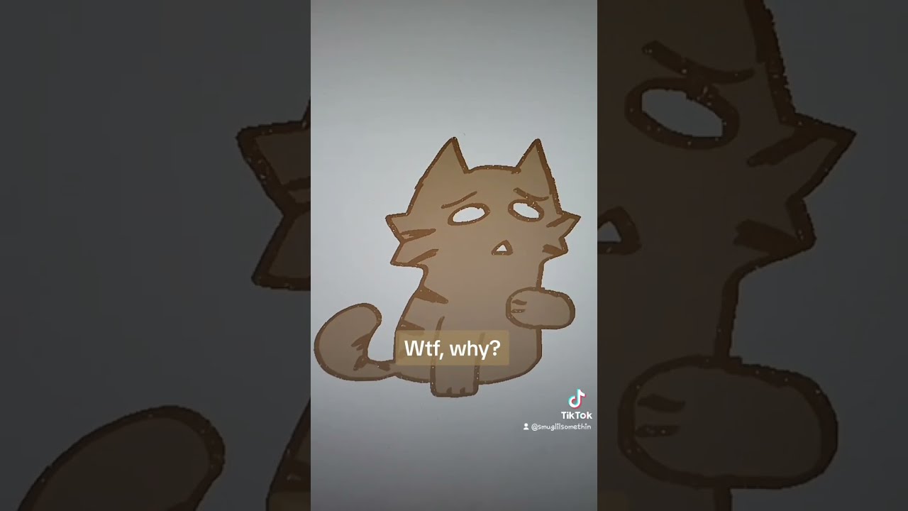 Firestar Having Beef With Brambleclaw For No Reason Warrior Cats Animatic