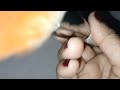 ASMR PINCEL NA LENTE,PRA VC DORMIR RAPIDINHO🥱💤#asmrcaseirinho #sonsdeboca #pincel #relax