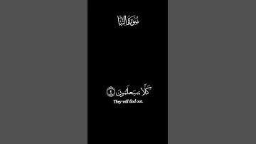 سوره النبأ قران كريم شاشة سوداء بدون حقوق طبع ونشر #قرآن_كريم