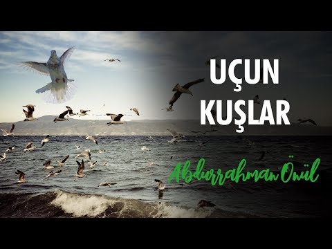 Uçun Kuşlar | Abdurrahman Önül - İlahi