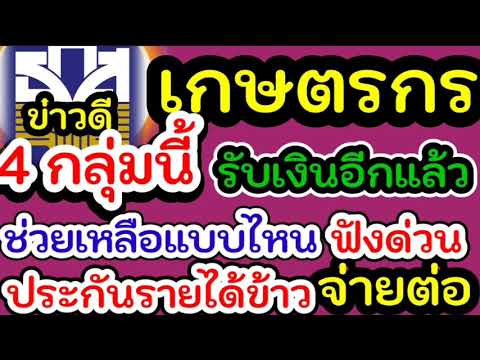 เยียวยาเกษตรกร รอบนี้ ได้รับความช่วยเหลืออย่างไร#เกษตรรับเงินเยียวยาเราชนะ ม.33#ประกันรายได้ข้าวจ่าย