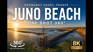 Juno Beach One Shot | DJI Avata 360 | 8K VR Experience