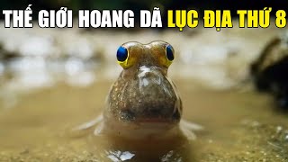 Xứ Sở Bí Ẩn Của Động Vật Hoang Dã | Khám Phá Thế Giới Động Vật Hoang Dã