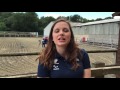 Paralympic Horses and their personalities
