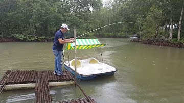 Câu được cá lớn tại kdl Vàm Sát Cần Giờ