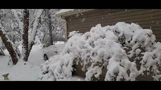 Download Lagu First  snow.   MP3