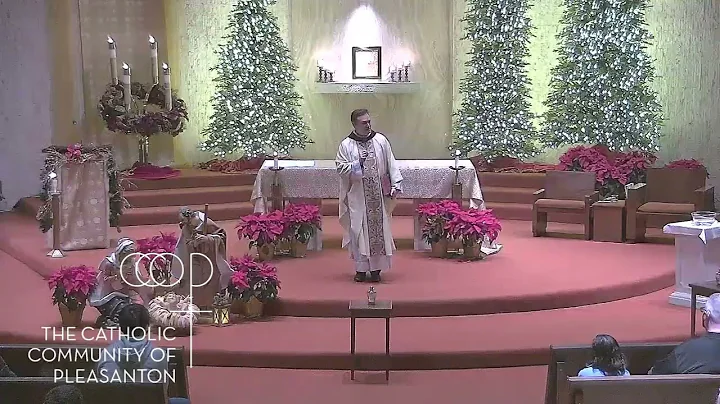 Baptism of The Lord Homily: Fr. Mark Wiesner - Jan...