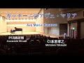 【本岩孝之】カッチーニのアヴェ・マリア Motoiwa Takayuki sings Ave Maria Вавилов