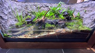 Awesome Tiger Salamander Paludarium - Rebuild for Barred Tiger Salamanders