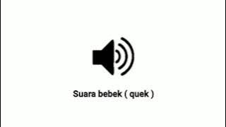 Sound effect gaming - Suara bebek quek