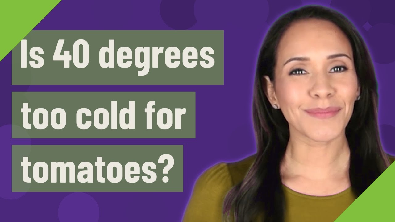 Will 36 Degrees Hurt Tomato Plants?