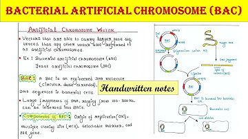 Bacterial artificial chromosome | BAC | Artificial chromosome vector | Applications