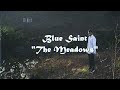 Capture de la vidéo Blue Saint -  The Meadows (Official Lyric Video)