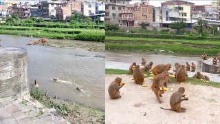 Yummy meal after bathing and swimming|| नुहाए पछि मिठो भोजन || InNepal