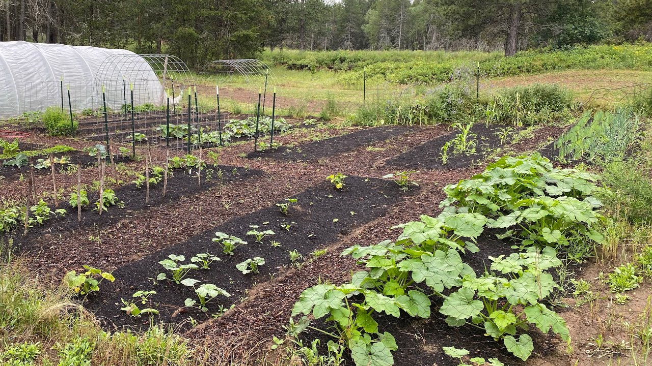 1/4 Acre Market Garden Update
