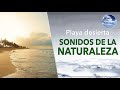 Meditación Sonidos Naturaleza - Olas en la Playa