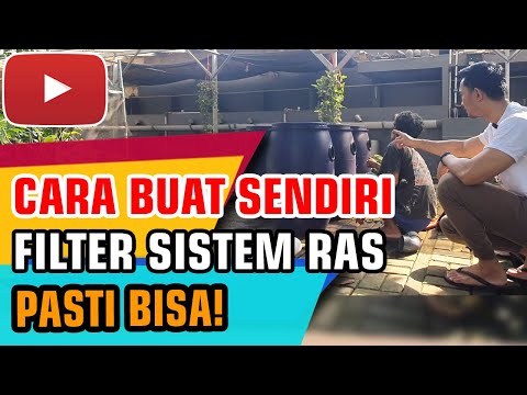 Video: Pembudidaya DIY: bagaimana melakukannya?