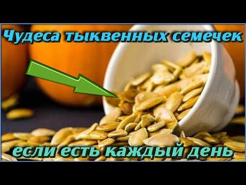 Вся ПРАВДА про СЕМЕЧКИ ТЫКВЫ. Что будет если есть тыквенные семечки КАЖДЫЙ ДЕНЬ. Рецепты ЗДОРОВЬЯ