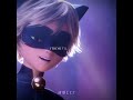 Damn, he really knows how to impress his lady💍🌠❤️//#shorts #fypシ #ladynoir #miraculous #amv #edit