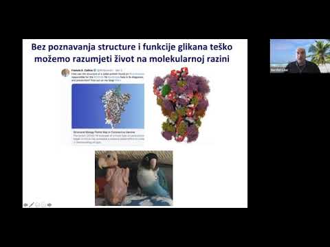 Prof Gordan Lauc: Glikoproteini: struktura, funkcija i biosinteza