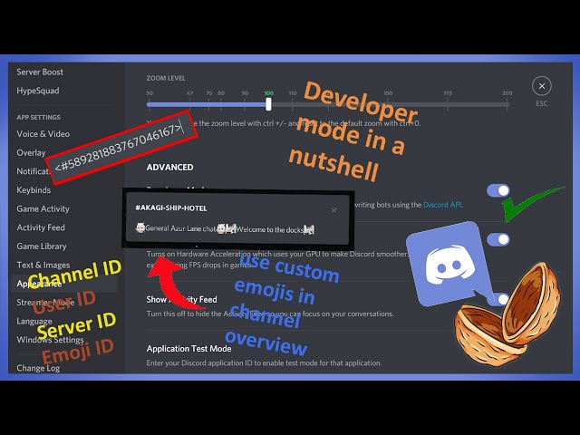 How to enable developer mode on Discord ?