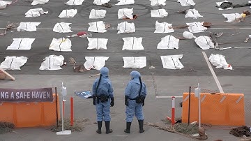 THE LAST MAN ON EARTH Full Series Recap | Season 1-4 Ending Explained