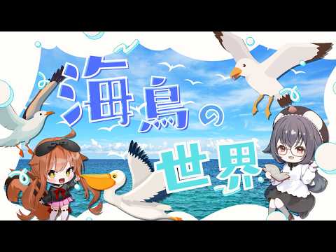 【 生物コラボ 】　海といえば………鳥だ！！！！海鳥トークをしよう！！！！　【 #個人Vtuber #生き物 #海鳥 #茜ちえり #鳥ノ院ふみ  】