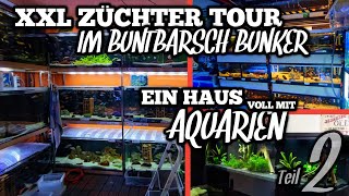 XXL ZÜCHTER Tour im BUNTBARSCH BUNKER | Ein HAUS voller AQUARIEN 2