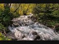 ТУК ТАМ ТУК ТАМ КИСЕЛО МЛЯКО българска народна песен хумористична 