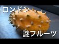 ロンドンの謎フルーツ食べる
