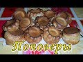 Поповеры. Выпрыгивающие булочки. Popovers