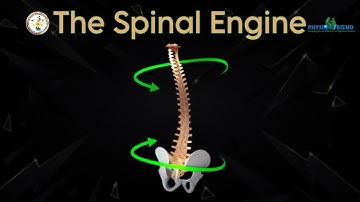 The Spinal Engine