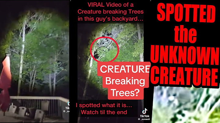 Unknown Creature Breaks Trees in Man's Backyard - I SPOTTED WHAT IT IS from his Original Viral Video