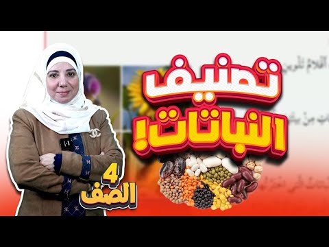 الدرس الثاني تصنيف النباتات 2 الوحدة الأولى العلوم للصف الرابع