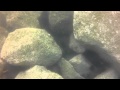 2012年06月07日 油壺 の動画、YouTube動画。