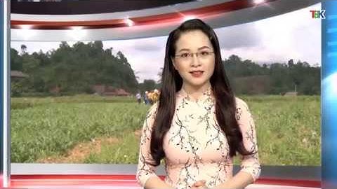 29-5 Thời sự tối. 