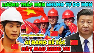 Vì Sao Giới Trẻ Trung Quốc Hiện Nay Cứ Sang Việt Nam Làm Việc Là Từ Chối Trở Lại Trung Quốc