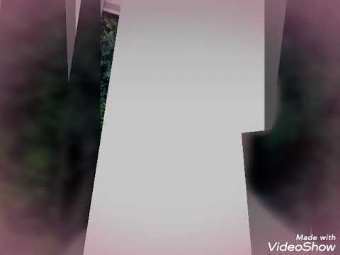 زيد شركه زي 2019 0789098752