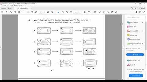 Biology IGCSE-  characteristics organism classification biological molecules past paper Discussion