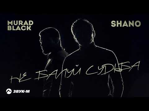 Murad Black, Shano - Не балуй судьба | Премьера трека 2026