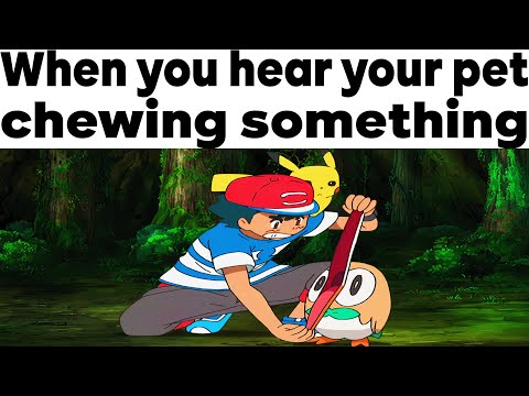POKEMON MEMES V151