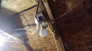 Backyard Chicken coop setup YouTube