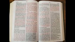 (NASB) Book of Luke, Chapter 22