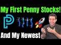 Reviewing My First Penny Stock Video! What Had A 10X And What Tanked!?