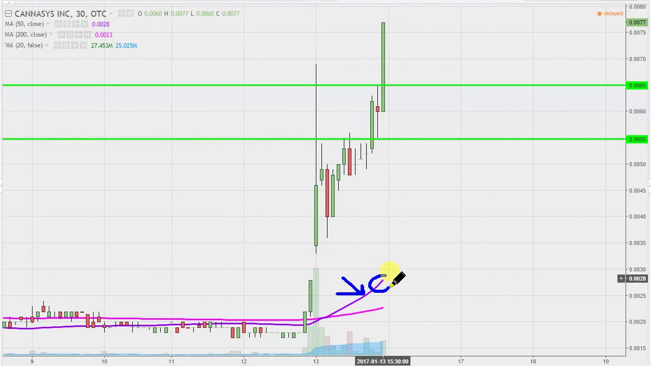 Mjtk Stock Chart