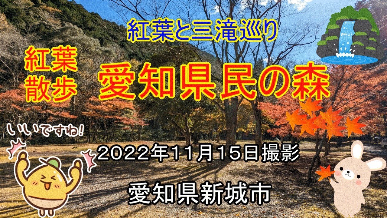 紅葉見頃の愛知県民の森に行ってきました　還暦夫婦ナオユミのハイキングへ行こう