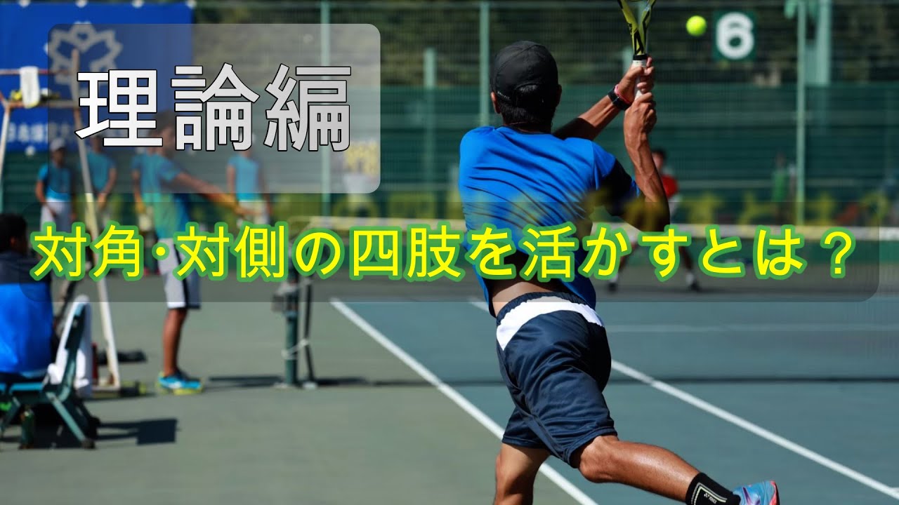 【理論編】テニスにおける対角・対側四肢の活かし方【テニトレ】