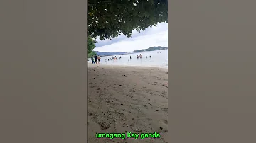 Nature Shortvideo Likesharesubscribe 