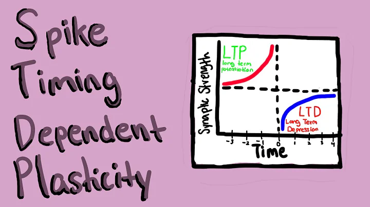 Synaptic Plasticity and STDP in Learning/Memory | Breakthrough Junior Challenge 2023