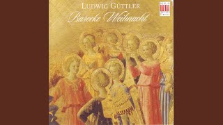 Concerto for Strings in E Major, RV 270 "Il riposo" "...per il s. natale": I. Allegro - Roland Straumer, Virtuosi Saxoniae & Ludwig Güttler
